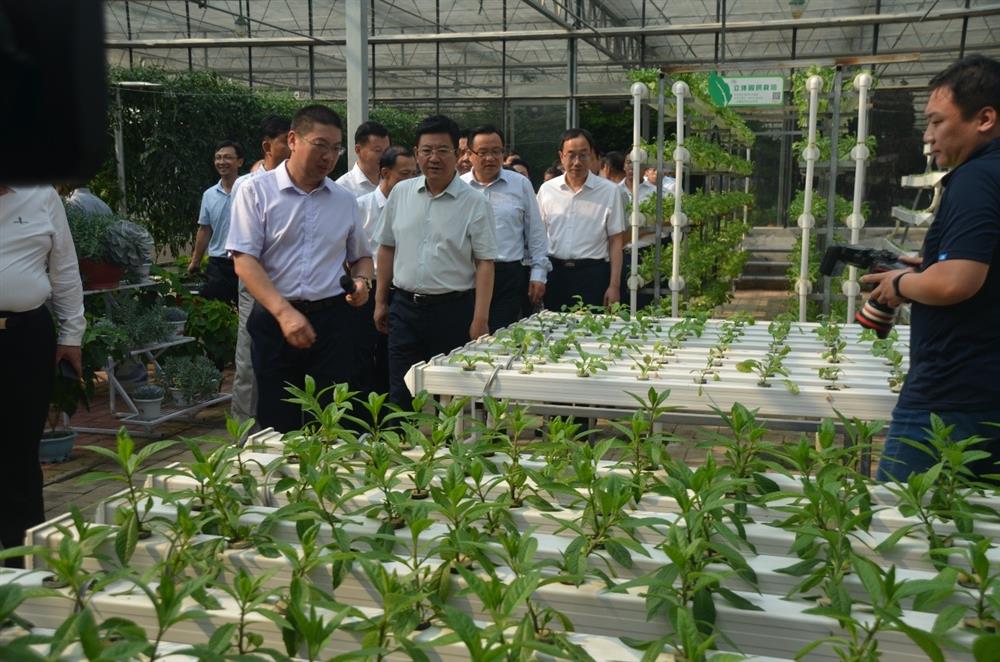 科技助農(nóng)，播撒光的種子  精準(zhǔn)扶貧，助力鄉(xiāng)村振興