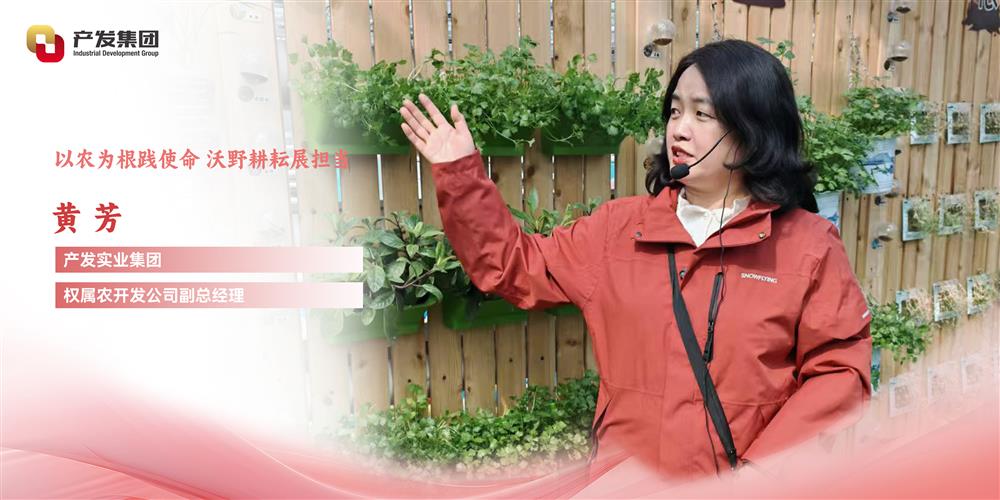 巾幗綻芳華 | 產(chǎn)發(fā)實(shí)業(yè)集團(tuán)權(quán)屬農(nóng)開發(fā)公司 黃芳：以農(nóng)為根踐使命，沃野耕耘展擔(dān)當(dāng)